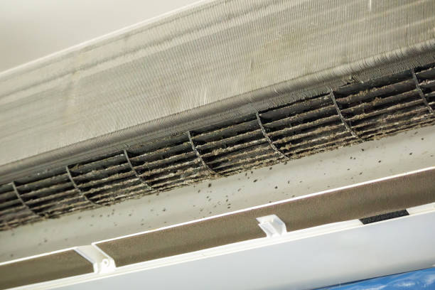 Best Home Air Vent Cleaning  in Seven Mile, AZ