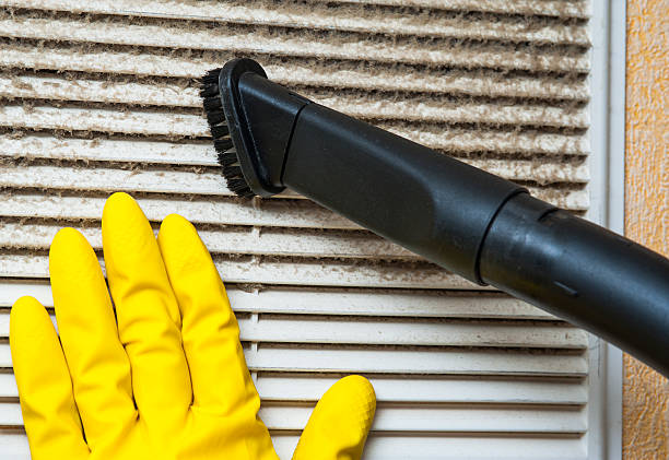 Best Air Vent Cleaning Services  in Seven Mile, AZ